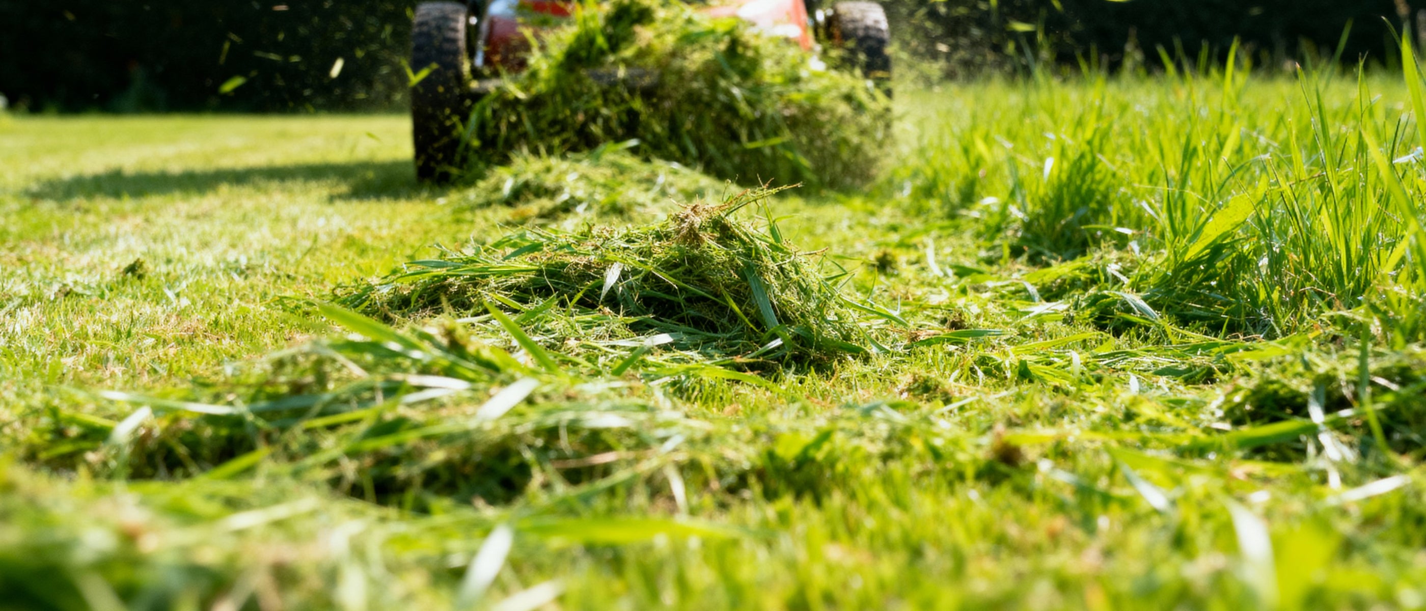 AIRSEEKERS AUSTRALIA